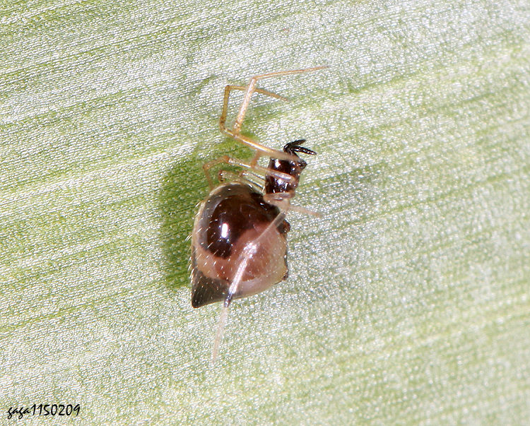 ��ù�T����