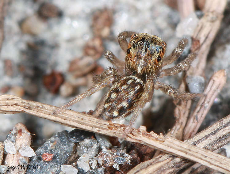 �w�w���Ǫ�Y��