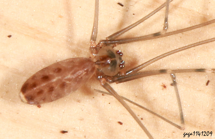 ���ܫ��F��