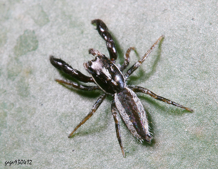 �|��� ��